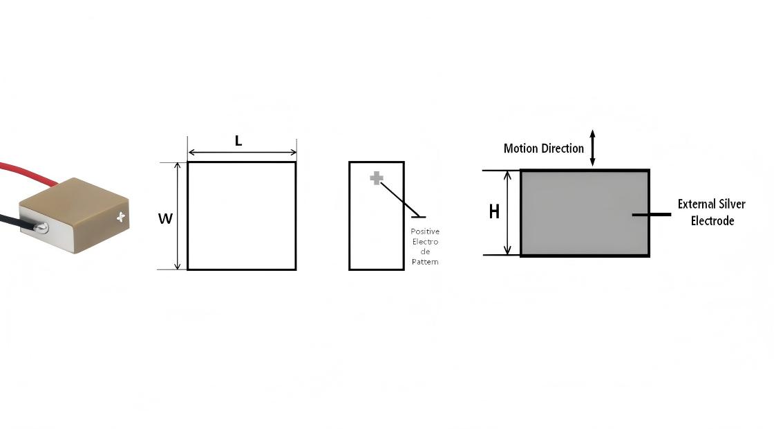 1772676654921444.jpg 1772676654921444.jpg